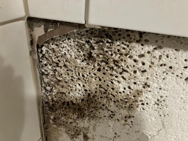 Großflächiger Schimmelbefall an der Wand hinter den Fliesen.